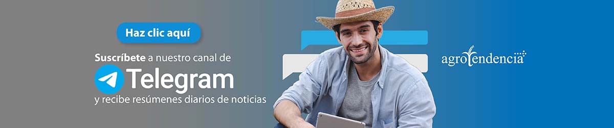 Únete a nuestro canal de telegram