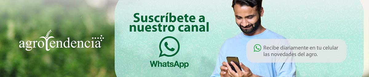 Suscribete a nuestro canal de whatsapp
