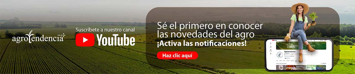 suscribete a youtube