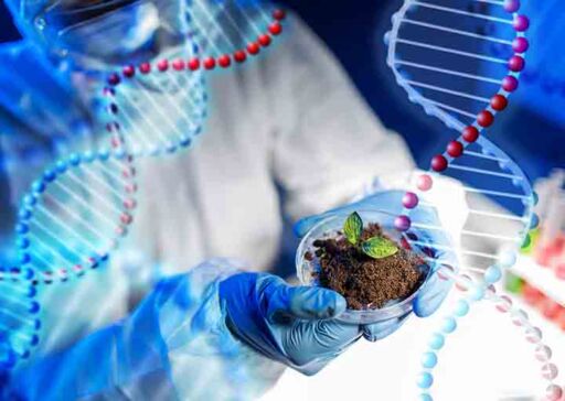 Biotecnología agrícola - cultivos
