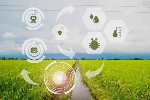transformación digital - agro digital