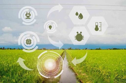 El Agro Latinoamericano se Digitaliza: La Revolución en tu Pantalla