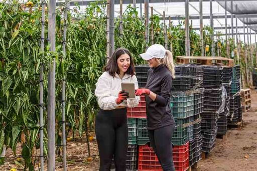 agromarketing - agricultura