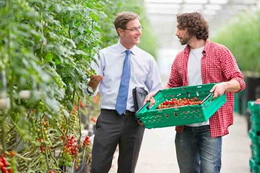 agromarketing - producción agrícola