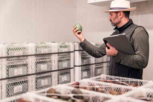 agromarketing - ecommerce