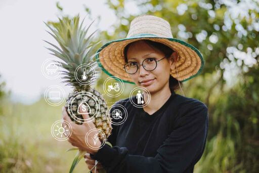 Trazabilidad y Blockchain: Alimentos Seguros y Sostenibles