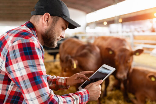 Gestión de datos agrícolas - Gestión ganadera