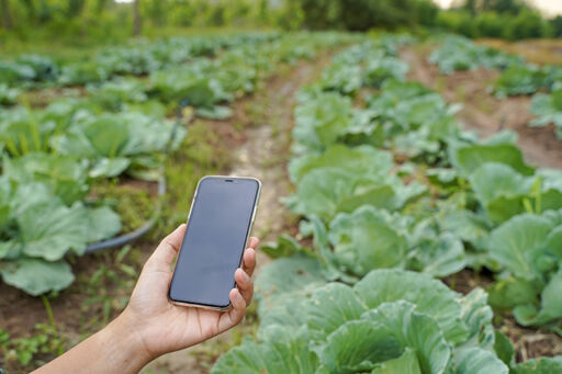 Gestión de datos agrícolas - Gestión ganadera