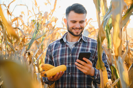 Gestión de datos agrícolas - Gestión ganadera