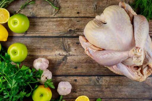 Tecnología de precisión - pavo navideño