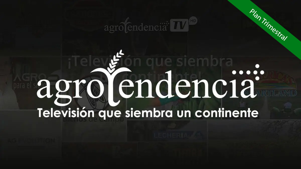 Suscripción Trimestral