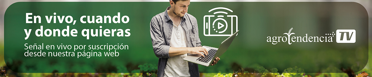 en vivo donde quieras