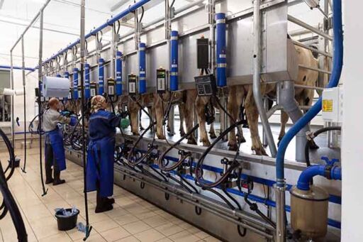 Digitaizaci&oacute;n lechera - trazabilidad