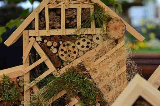 Hotel para insectos - Biodiversidad