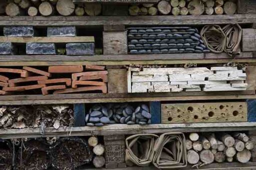 Hotel para insectos - Biodiversidad