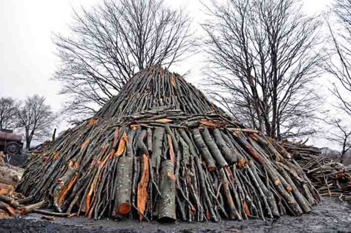 Carb&oacute;n vegetal - Producci&oacute;n de carb&oacute;n vegetal