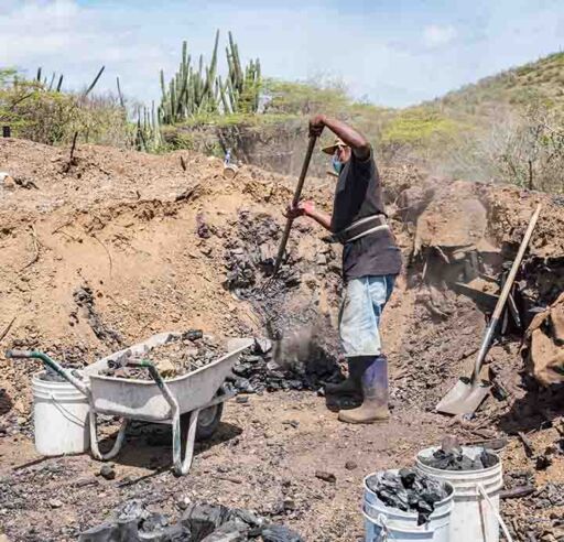 Carb&oacute;n vegetal - Producci&oacute;n de carb&oacute;n vegetal