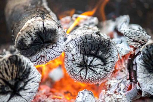 Carbón Vegetal en Latam: Eficiencia y Economía Circular Rural