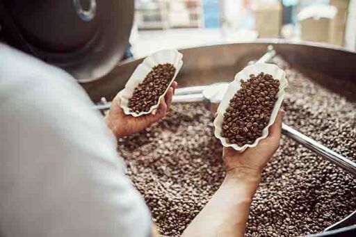 Barismo - caficultura