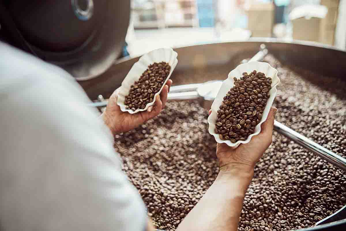 Del Grano a la Taza: El Barismo y el Valor Añadido del Café