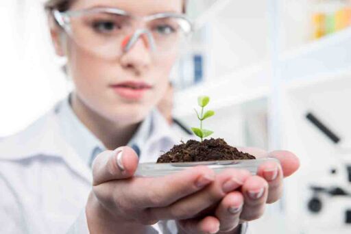 Microorganismos Eficientes (EM): Biotecnología para el Suelo
