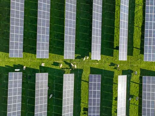 Tecnolog&iacute;a agrivoltaica - Energia solar 