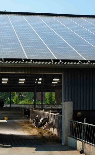 Tecnolog&iacute;a agrivoltaica - Energ&iacute;a solar 