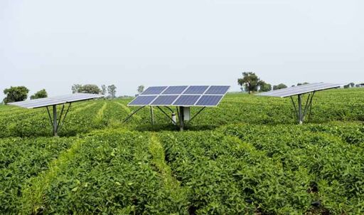 Tecnolog&iacute;a agrivoltaica - Energia solar 