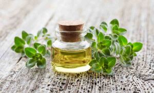 Plantas Aromáticas y Salud: Un Modelo de Negocio de Alto Valor