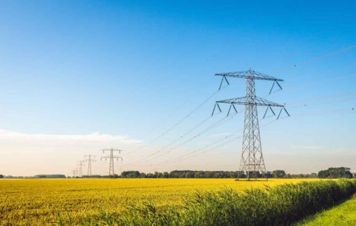 ¿Conoces la importancia que tiene un buen respaldo eléctrico en la conservación agrícola?