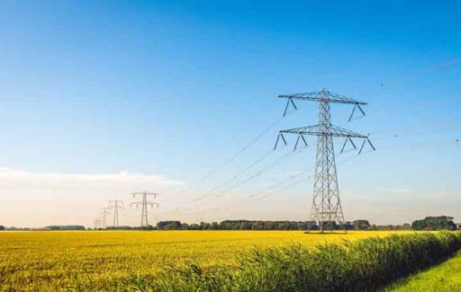 plantas de luz el&eacute;ctricas en agricultura