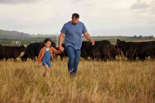 Un padre y su hija peque&ntilde;a caminando de la mano por un potrero junto a un hato de vacas de carne org&aacute;nica.
