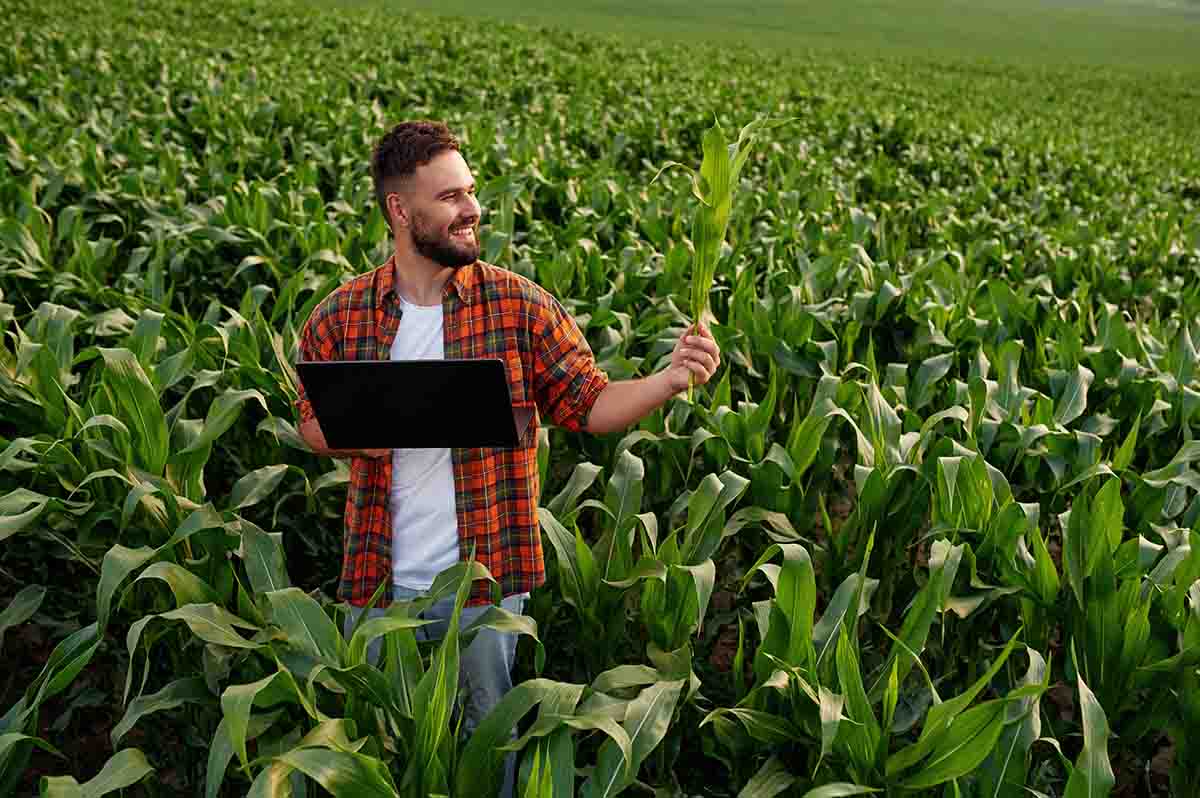 IA Práctica en el Campo: Herramientas que Puedes Usar Hoy