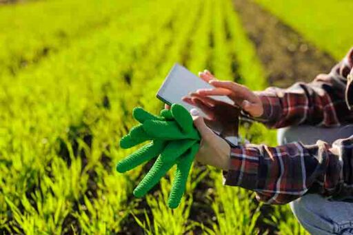 Productor agr&iacute;cola utilizando una laptop para gestionar la planificaci&oacute;n de la siembra en un campo de cultivo, utilizando inteligencia artificial para la toma de decisiones