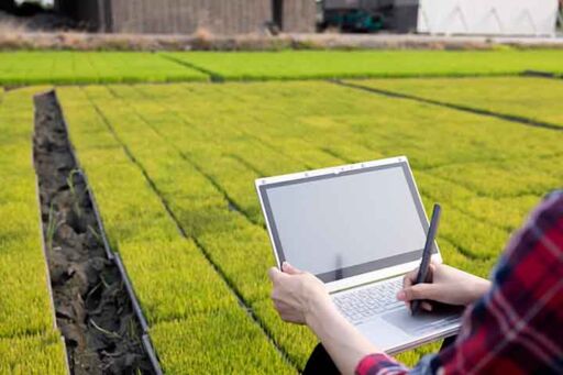 Manos de un agricultor utilizando una tableta digital para realizar un diagn&oacute;stico fitosanitario con inteligencia artificial.