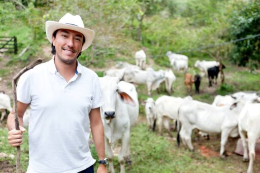 Microorganismos Eficientes: Éxito en Producción de Cerdos y Aves