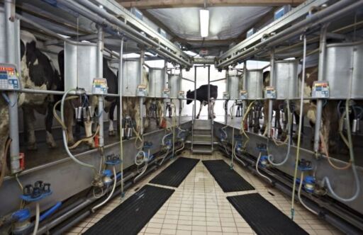 Interior de una sala de ordeño automatizada con equipos electrónicos de medición de leche en una finca lechera moderna.